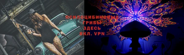 скорость Алексеевка