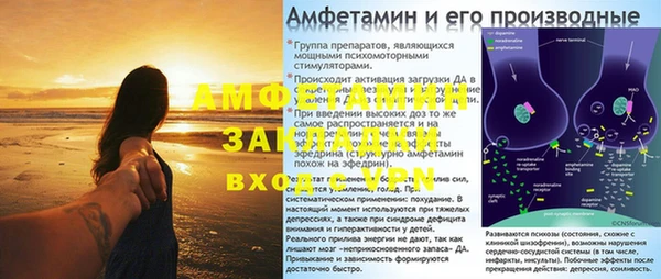молекула духа Алексин